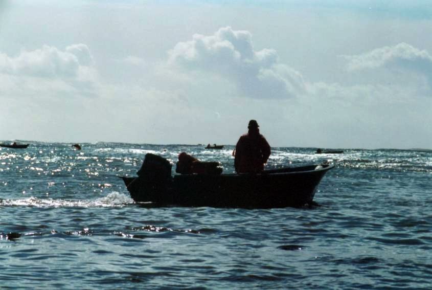 EmilioF.Vázquez_Panoramio.com_IslaNatividad_Mulegé_BCS.